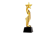 Gold Award